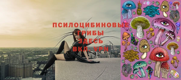 а пвп мука Верея