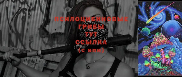 а пвп мука Верея